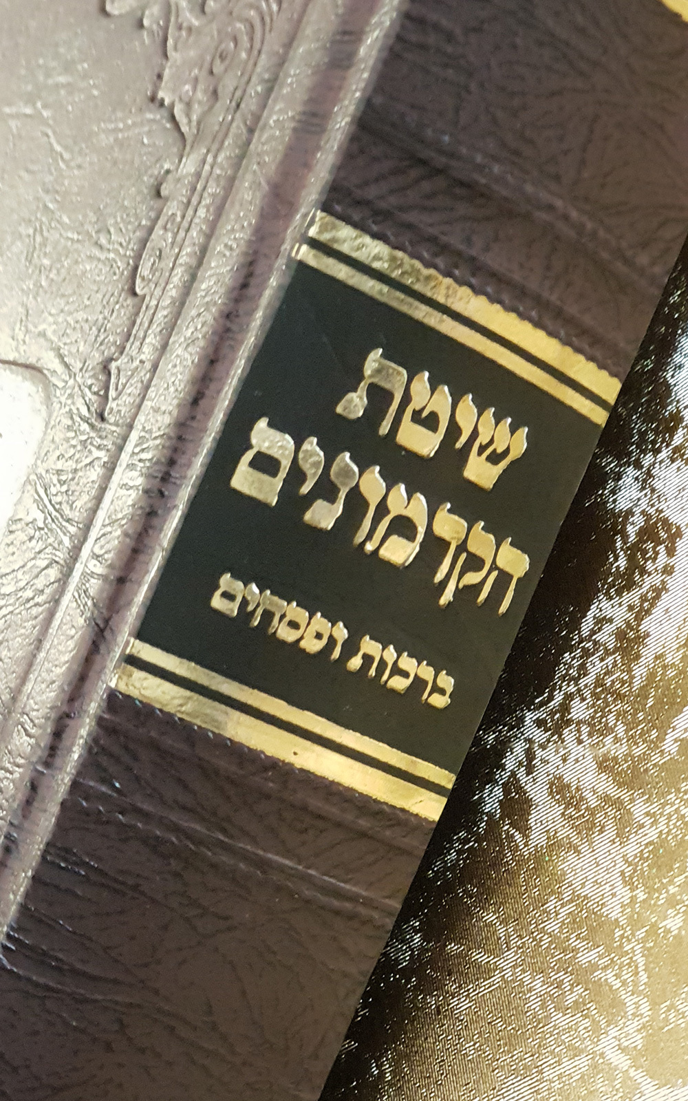 שיטת הקדמונים ברכות ופסחים - שדרה