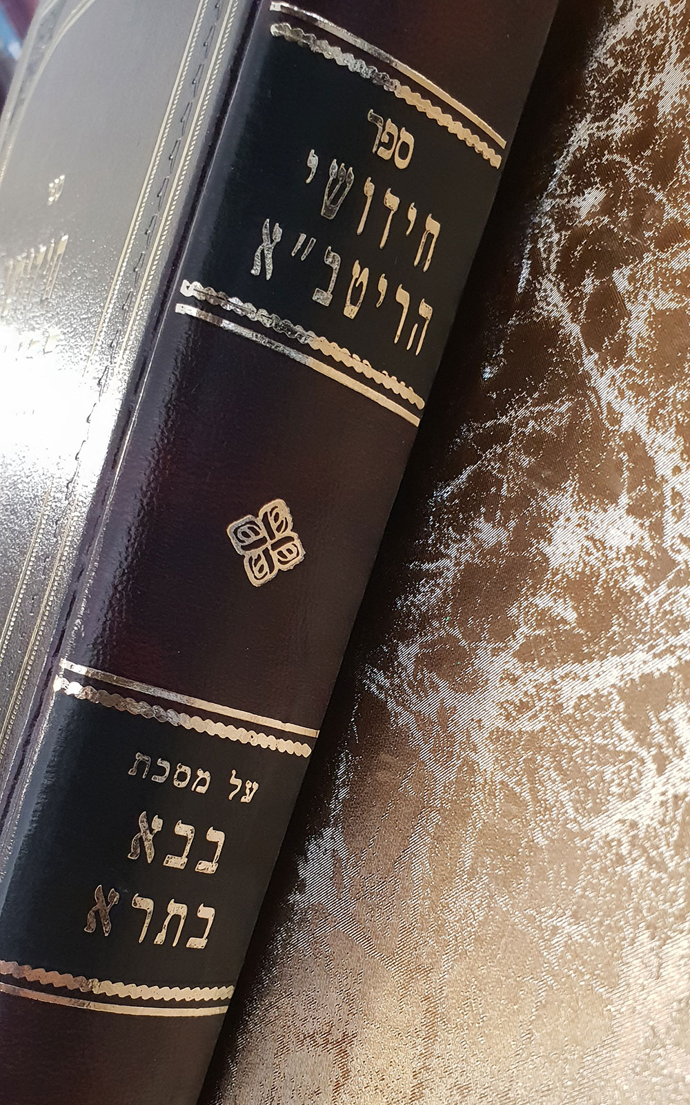 חידושי הריטב"א על ב"ב - שדרה