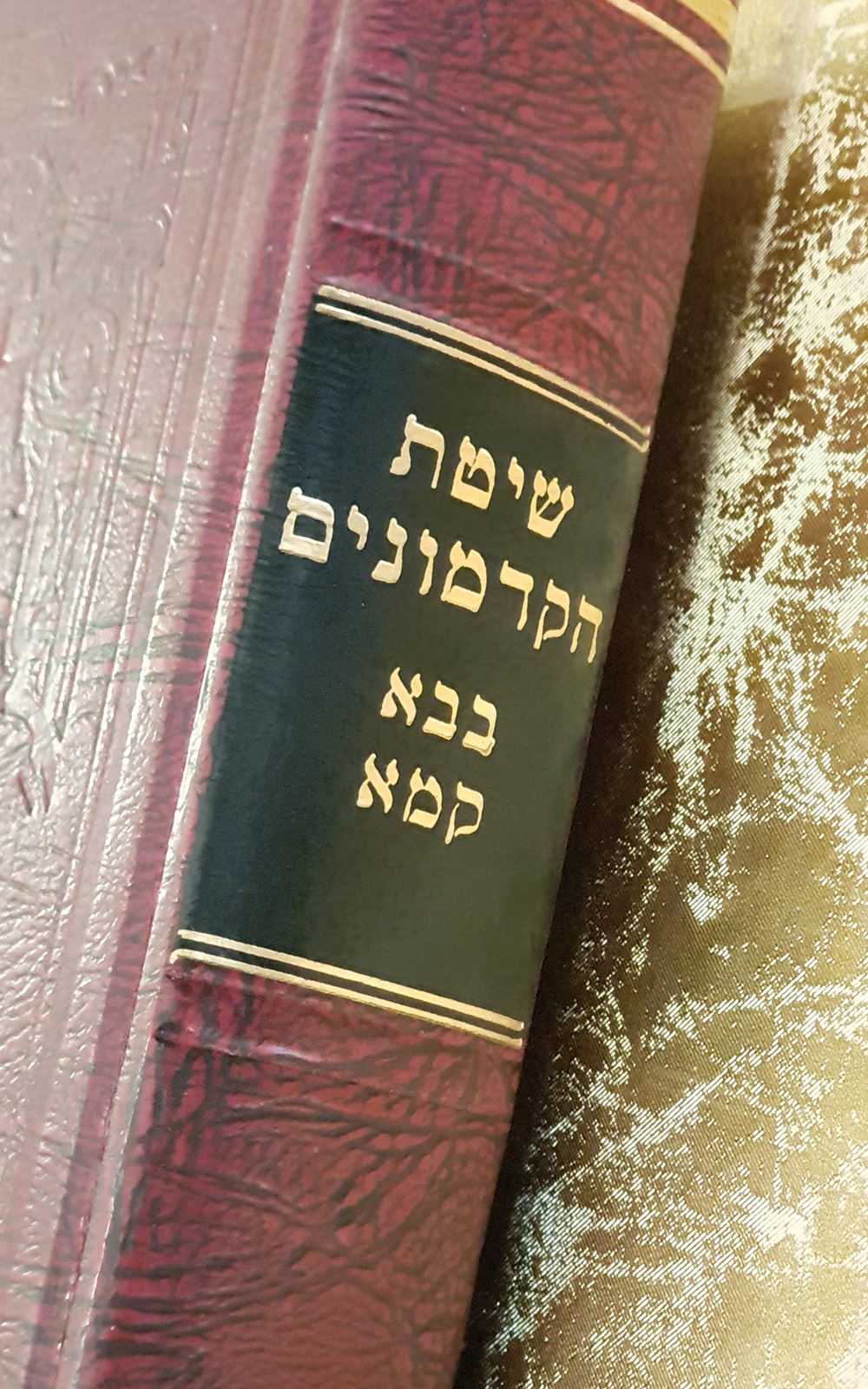 שיטת הקדמונים - בבא קמא - שדרה