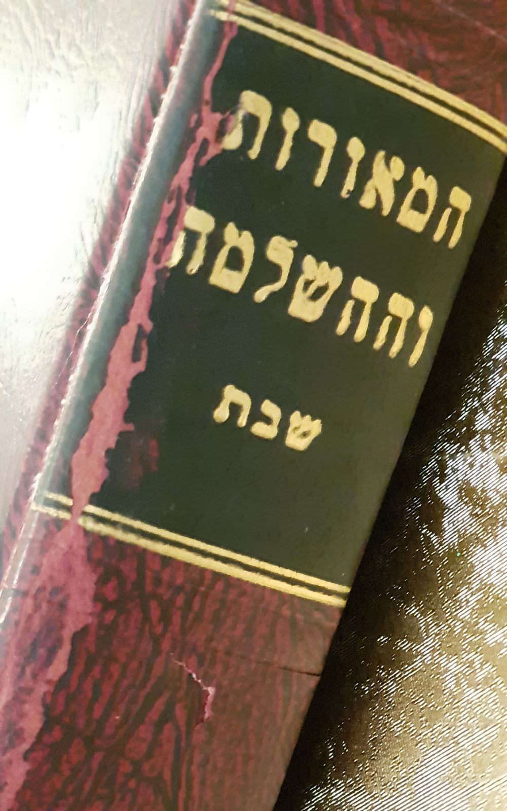 המאורות והשלמה - שבת - שדרה