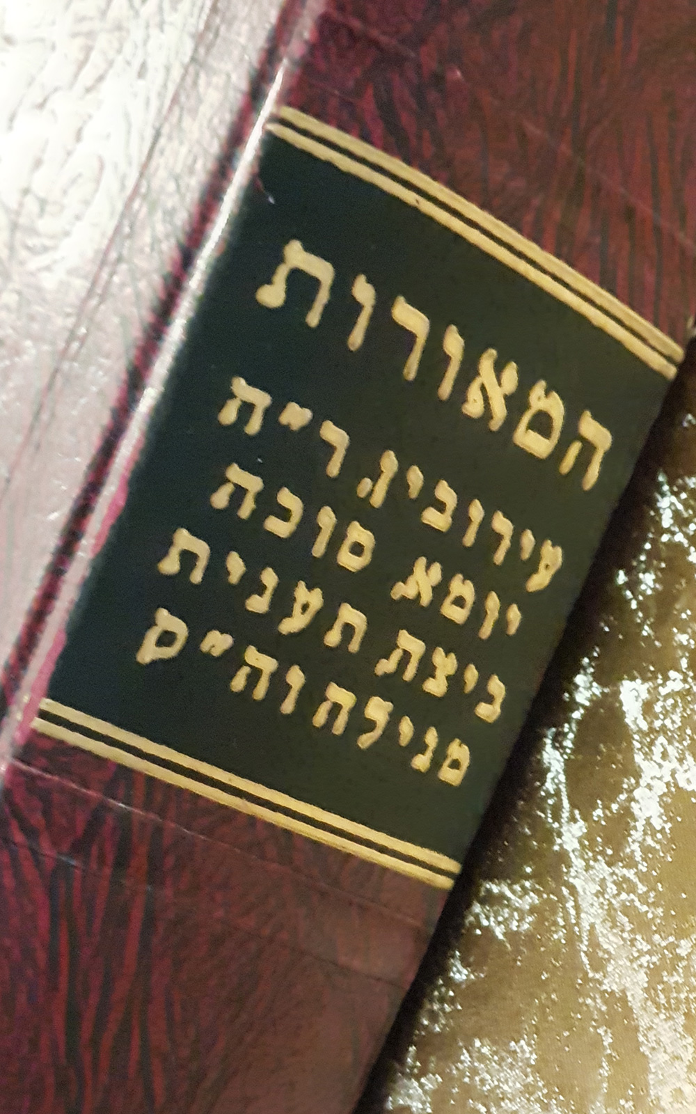 המאורות והשלמה - עירובין, יומא, סוכה, ביצה, ראש השנה, תענית, ומגילה - שדרה