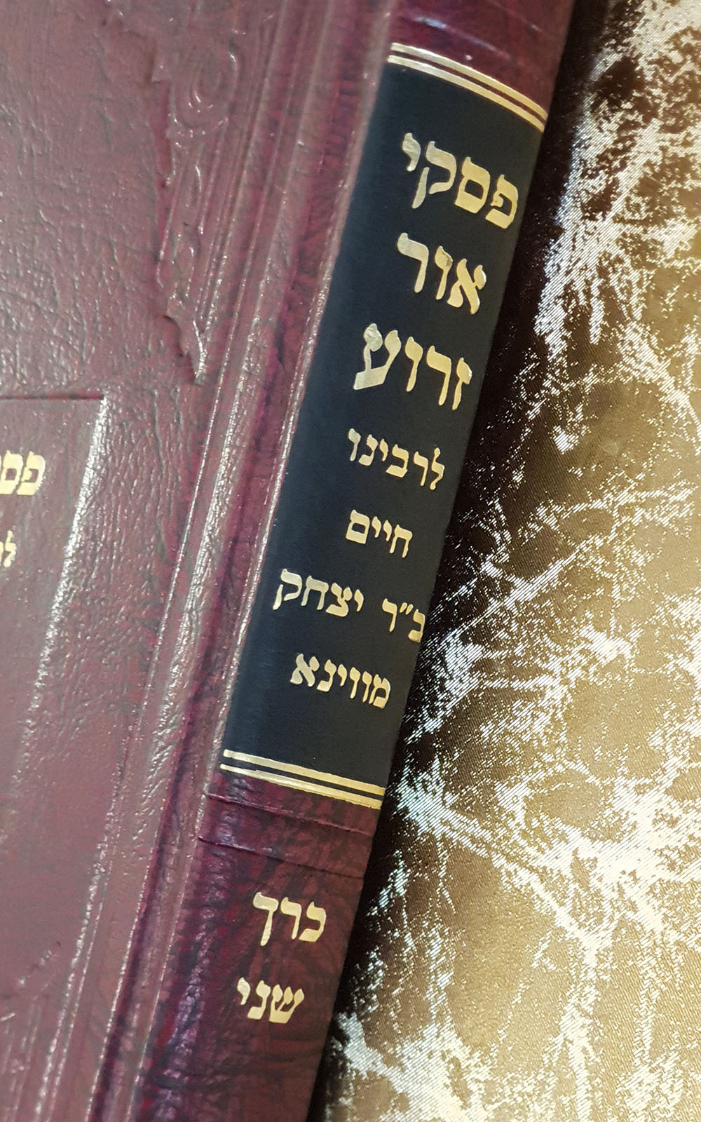 פסקי אור זרוע - כרך שני - שדרה