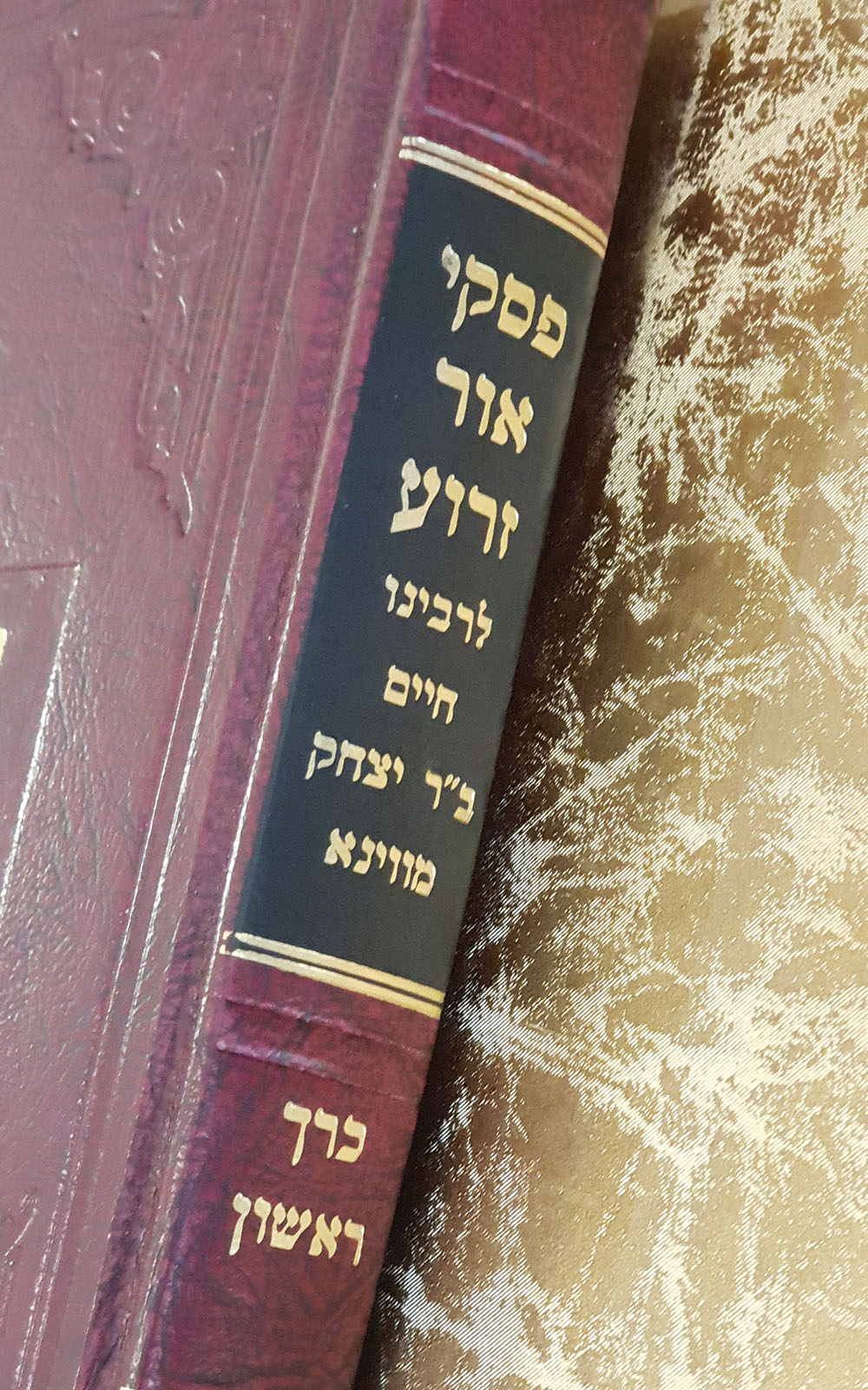 פסקי אור זרוע - כרך ראשון - שדרה