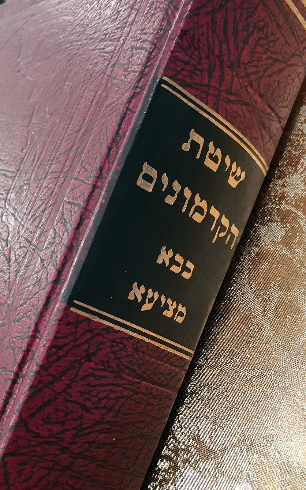 שיטת הקדמונים - בבא מציעא - שדרה