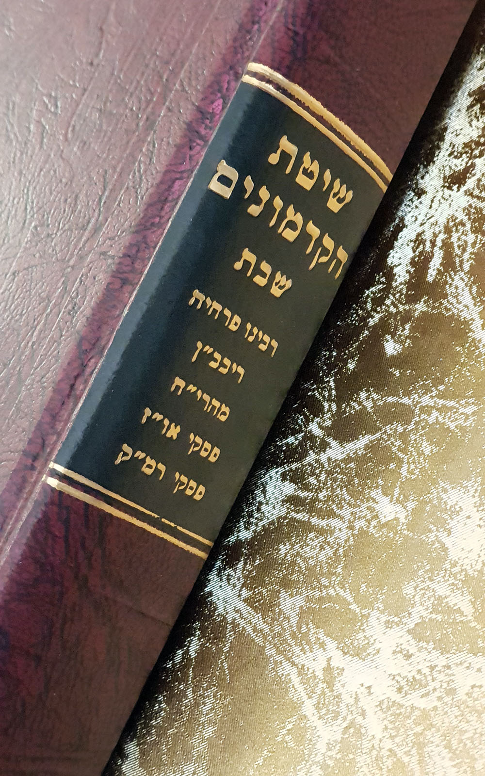 שיטת הקדמונים - שבת: רבינו פרחיה ועוד - שדרה