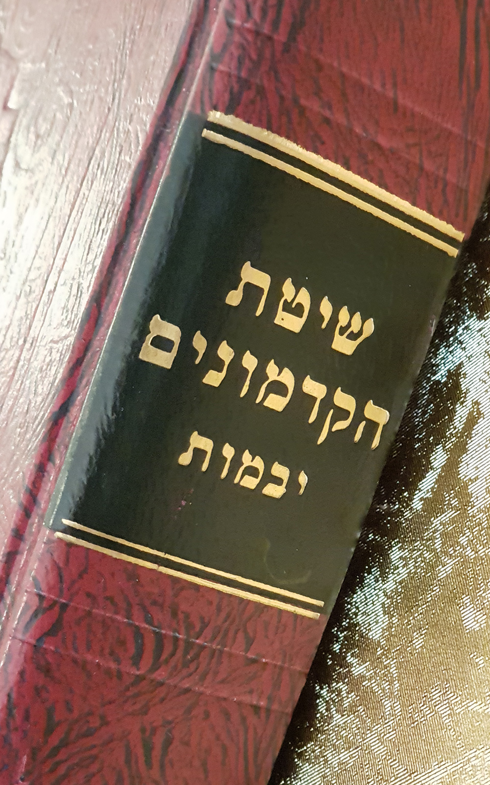 שיטת הקדמונים - יבמות - שדרה