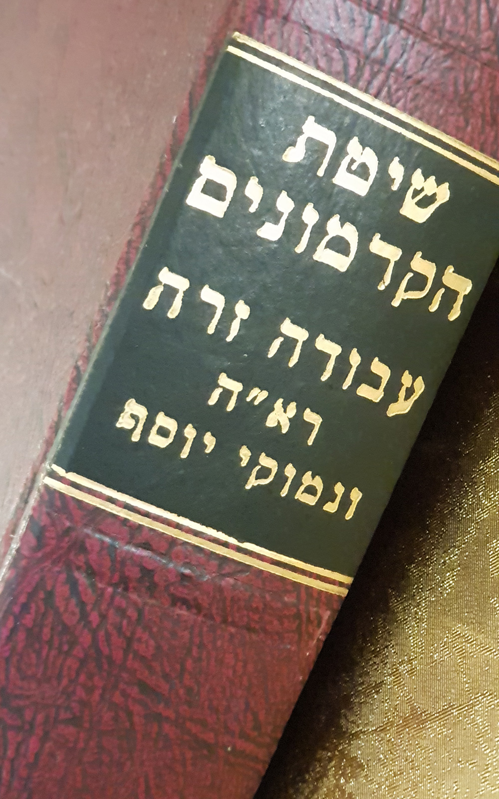 שיטת הקדמונים - עבודה זרה: רא"ה ונמוקי יוסף - שדרה
